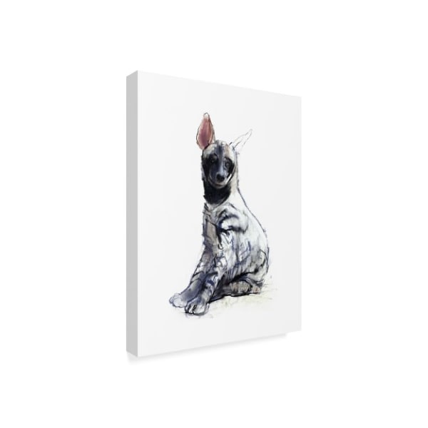 Mark Adlington 'Striped Hyena Pup Seated' Canvas Art,18x24